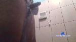 sealsfun cam4 livecam show performer room profile