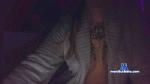 SarinaTatts cam4 livecam show performer room profile