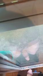 petitponey5 cam4 livecam show performer room profile