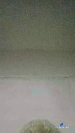 VaiGozaCmg cam4 livecam show performer room profile