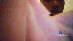 PretoDotado32 cam4 livecam show performer room profile