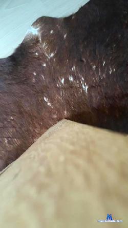 bodyuilder87 cam4 live cam performer profile