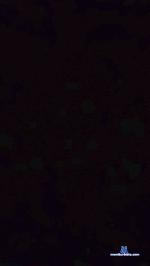 Samir280 cam4 livecam show performer room profile