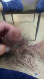 curiosonebello cam4 livecam show performer room profile