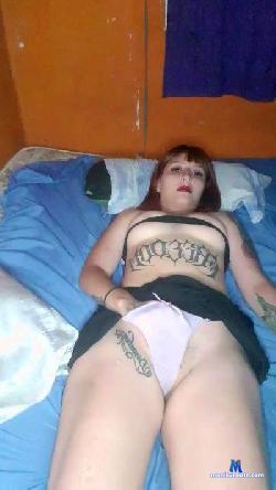 Dollb cam4 live cam performer profile