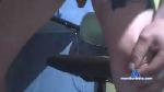 kitosexual cam4 livecam show performer room profile