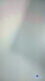 Tivigol79 cam4 livecam show performer room profile