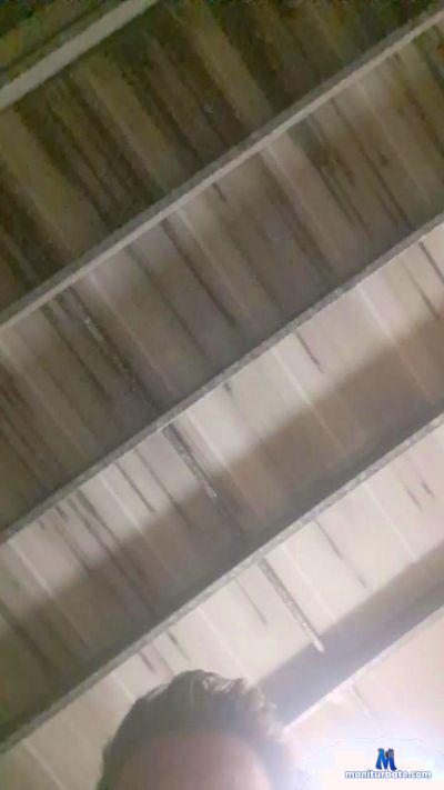 Kenshi2000 cam4 bicurious performer from Republic of Italy  