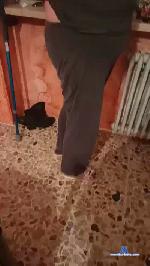bambola88 cam4 livecam show performer room profile