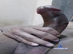 marciomorenohot cam4 livecam show performer room profile