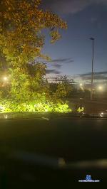 bntpas cam4 livecam show performer room profile