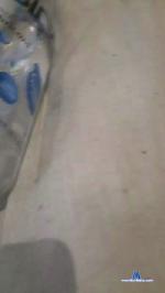 sophxoxo2 cam4 livecam show performer room profile