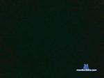 alegostoso35 cam4 livecam show performer room profile