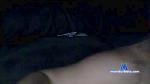 alesmess cam4 livecam show performer room profile