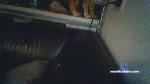 jongstel5 cam4 livecam show performer room profile