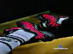 Priince_skaiyze cam4 livecam show performer room profile