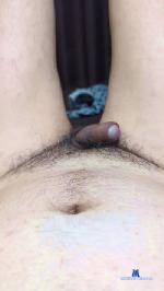 pandaboyfun cam4 livecam show performer room profile