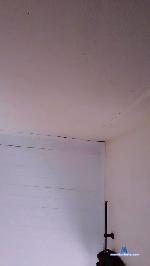 Sonhobella cam4 livecam show performer room profile