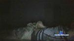asipicha cam4 livecam show performer room profile