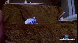 pollon698 cam4 live cam performer profile