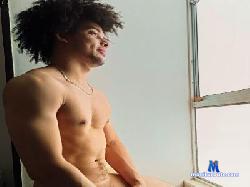 alex_harperr_ cam4 live cam performer profile