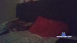 JustMy_36 cam4 livecam show performer room profile