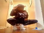 JewelDiamondB cam4 livecam show performer room profile