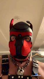 TTcumFUN cam4 livecam show performer room profile