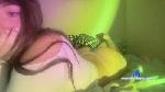 EmpressJewel cam4 livecam show performer room profile