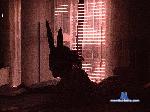 xXLoveRedLipsXx cam4 livecam show performer room profile