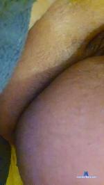 SheBoredCall cam4 livecam show performer room profile