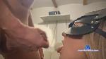 Pellysta cam4 livecam show performer room profile