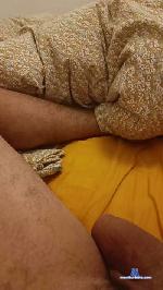 voiture17132 cam4 livecam show performer room profile