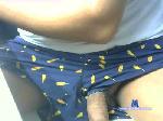 reno681 cam4 livecam show performer room profile