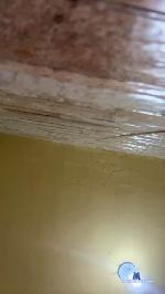 gabriela257 cam4 livecam show performer room profile