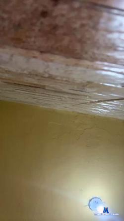 gabriela257 cam4 live cam performer profile