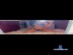 DaniellaDelight cam4 livecam show performer room profile