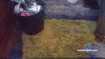 eriklove cam4 livecam show performer room profile