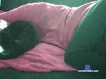 Iulian38 cam4 livecam show performer room profile