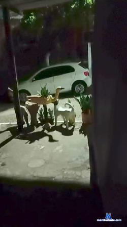 Dotados_sexy cam4 live cam performer profile