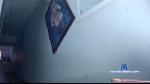 janez51 cam4 livecam show performer room profile