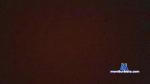 Mualtor cam4 livecam show performer room profile