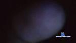 juniorbi2 cam4 livecam show performer room profile