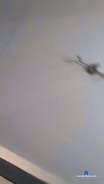 Trekjongen cam4 livecam show performer room profile