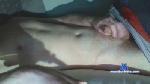 manhfhh cam4 livecam show performer room profile