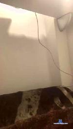 raulcabello1 cam4 livecam show performer room profile