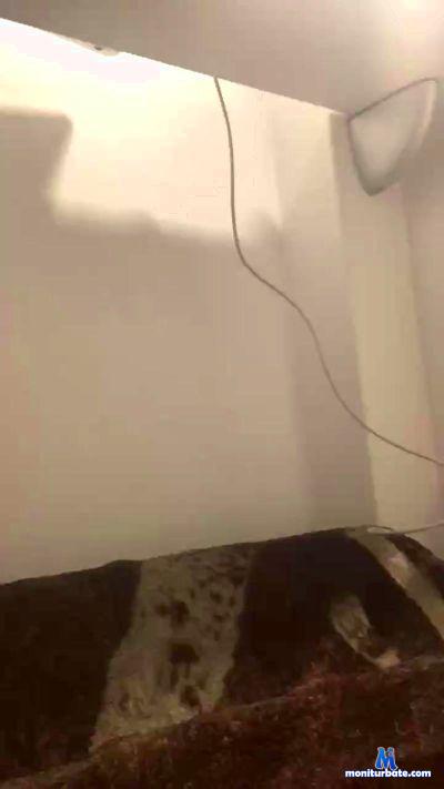 raulcabello1 cam4 bisexual performer from Kingdom of Spain  