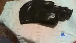 latexslut1 cam4 livecam show performer room profile
