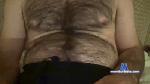 HairyManser cam4 livecam show performer room profile