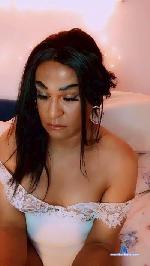 travamore cam4 livecam show performer room profile